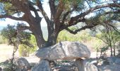 Trail Walking Ansignan - sentier des dolmens en fenouillèdes - Photo 18
