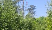 Trail Walking Canteleu - Forêt monumentale - Photo 16