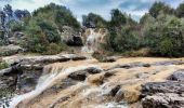 Tour Wandern Mazaugues - NSB5-MazauguesPivautI-220424 - Photo 19