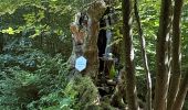Trail Walking Hotton - Ménil Favay - Photo 4