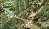 Tocht Stappen Cauterets - Cauterets - La Fruitière - Photo 2