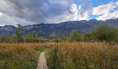 Trail Walking Doussard - Réserve du bout du lac - Photo 5