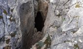 Excursión Senderismo Vallon-Pont-d'Arc - Boucle des grottes  Pont d'arc - Photo 12