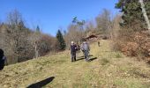 Tocht Stappen Masevaux-Niederbruck - Sickert chalet de Sickert  - Photo 1