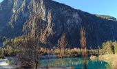 Excursión Senderismo Le Bourg-d'Oisans - Lac de Buclet et cascade de la Pisse - Photo 17