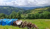 Trail Walking La Bresse - la montagne aux Lamas - Photo 1