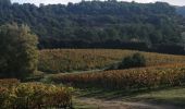 Trail Walking Saint-Pantaléon-les-Vignes - saint panthaleon les vignes  - Photo 16