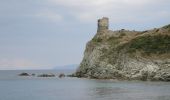 Tour Wandern Palasca - PF-Corse 27-05 - Plage d'Ostriconi - Désert des Agriates - Photo 1