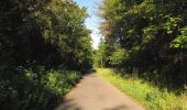 Randonnée Marche Choisy-au-Bac - en forêt de Laigue_7_06_2020_sur les routes de la Fontaine à Baril_Belle Assise_Plessis-Brion_chemin de Voie d'Eau - Photo 6