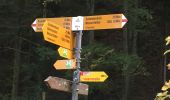 Trail On foot Unknown - Gondelbahn - Wasserfallen - Photo 7