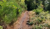 Tocht Stappen Houffalize - Promenade des crêtes - Photo 16