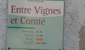 Percorso Marcia Vic-le-Comte - Lachaux - Photo 1