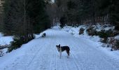 Trail Walking Stosswihr - La Schlucht Le Hohneck Le lac de La Lande Le Collet - Photo 2