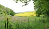 Tocht Stappen Profondeville - Burnot - Arbre - Annevoie - Photo 1