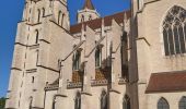 Trail Walking Dijon - Promenade de la Chouette Dijon centre ville  - Photo 8