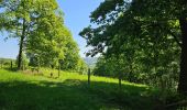 Trail Walking Liège - A la découverte du Sart-Tilman 🥾 - Photo 9