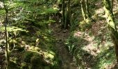 Trail Walking Cerdon - 01_CERDON_CASCADE_FOUGE_18 km_780m - Photo 6