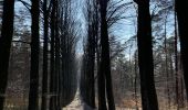 Trail Walking Beauvechain - Meerdael et molendaal à partir de Hamme Mil - Photo 15