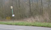 Tocht Te voet Gutsbezirk Reinhardswald - Fuldatal-Wilhelmshausen, Rundweg 2 - Photo 3