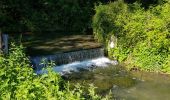 Tocht Stappen Chambly - Chambly Gabdicourt, Ronquerole - Photo 5