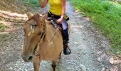 Trail Horseback riding Beaufort - Chez nous à chez Bertrand  - Photo 1