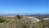 Tour Wandern Torroella de Montgrí - Castel de mont gris variante - Photo 20