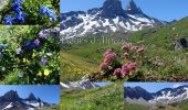 Trail On foot Albiez-Montrond - Basse du Gerbier-2020-07-05 - Photo 1