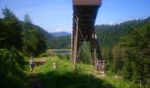 Trail Walking La Bresse - Lac de Lispach et sentier Dielaine  - Photo 16