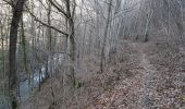 Trail Walking Courgoul - 9568344-Gorges de Courgoul et le sentier du loup - Photo 2