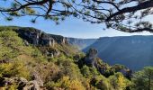 Trail Walking Saint-Pierre-des-Tripiers - Boucle Cassagnes - Gorges Jonte - Photo 2