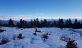 Tocht Stappen Autrans-Méaudre en Vercors - La Sure par Plénouse  - Photo 2