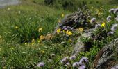 Trail On foot Grosotto - Ciclovia dell'Energia - Percorso Verde - Photo 2