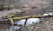 Randonnée Marche La Roche-en-Ardenne - buisson - Photo 2