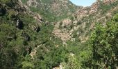 Tour Wandern Évisa - gorges spelunca - Photo 2