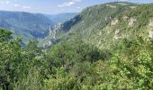 Randonnée Marche nordique Massegros Causses Gorges - Point sublime et tour du Causse de Sauveterre - Photo 9