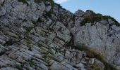 Trail Walking Lans-en-Vercors - les allieres, COL de l arc, et pic ST Michel - Photo 7