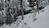 Randonnée Marche Dabo - col de la schlief - Photo 3