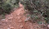 Trail Walking Signes - Amaris anne marie - Photo 3