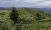 Tocht Stappen Orcines - Montée au Puy de Dôme et temple de Mercure  - Photo 9