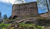 Tour Wandern Vorbruck - 2023-05-13 Marche Sentier des Passeurs Salm - Photo 5