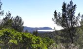 Tour Wandern Ceyreste - Grand Caunet, télégraphe, revers du Bosquié - Photo 2