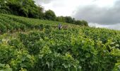 Randonnée Marche Château-Thierry - Château Thierry du 7 Juillet 2022 - Photo 1