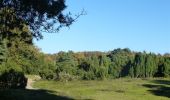 Percorso A piedi Haltern am See - Westruper Heide Rundweg A3 - Photo 6