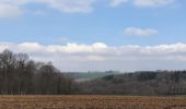 Tour Wandern Houyet - rando custinne 8 /03/2021 - Photo 1