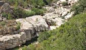 Excursión Senderismo Zonza - balade qui monte beaucoup mais belle - Photo 4