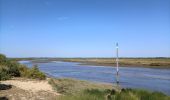 Randonnée Marche Le Teich - Le Teich - Photo 5