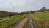 Trail Walking Blegny - Mortier - Photo 3