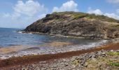 Randonnée Marche La Trinité - Presqu'île de la caravelle  - Photo 20