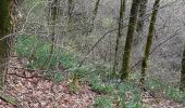 Excursión Senderismo Monschau - Rando Eifel des jonquilles narcisses 18,3 - Photo 6