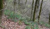 Tocht Stappen Monschau - Rando Eifel des jonquilles narcisses 18,3 - Photo 6